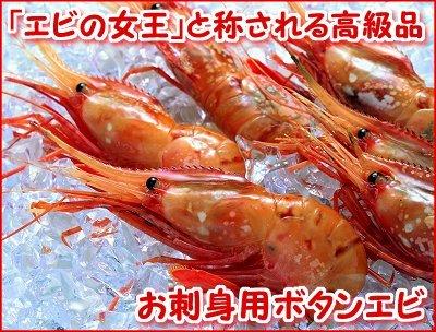 143 お刺身ぼたんえび 500ｇ 北海道網走水産