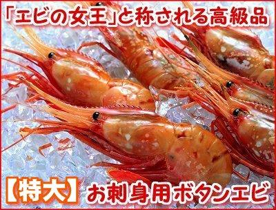 543 T543 特大 お刺身ぼたんえび 1kg 北海道網走水産