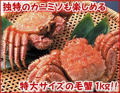 028 毛がに 2尾で1kg /ボイル冷凍｜北海道網走水産