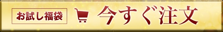 お試し福袋 今すぐ注文